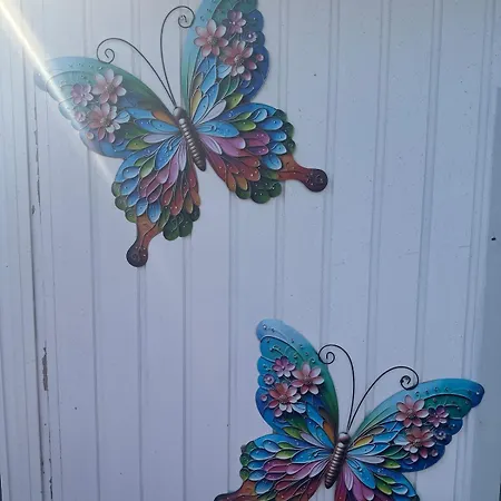 Botel Woonboot De Dobber Loosdrechtse Plassen 4-8 Personen