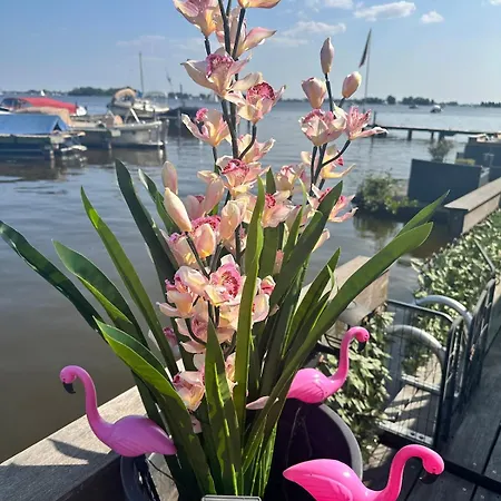 Woonboot De Dobber Loosdrechtse Plassen 4-8 Personen Loosdrecht