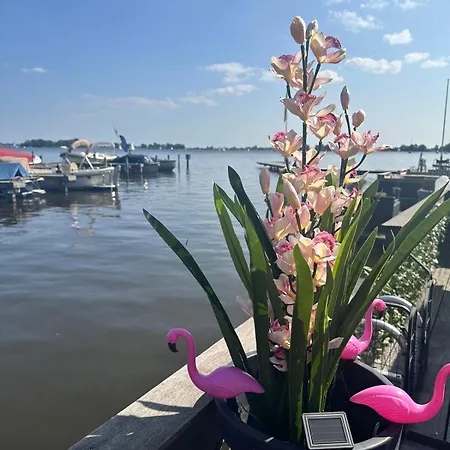 Botel Woonboot De Dobber Loosdrechtse Plassen 4-8 Personen