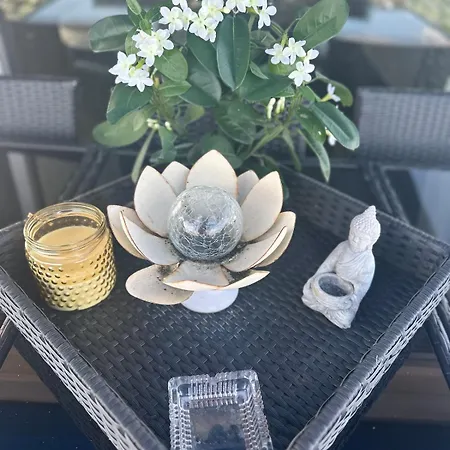 Woonboot De Dobber Loosdrechtse Plassen 4-8 Personen Botel *