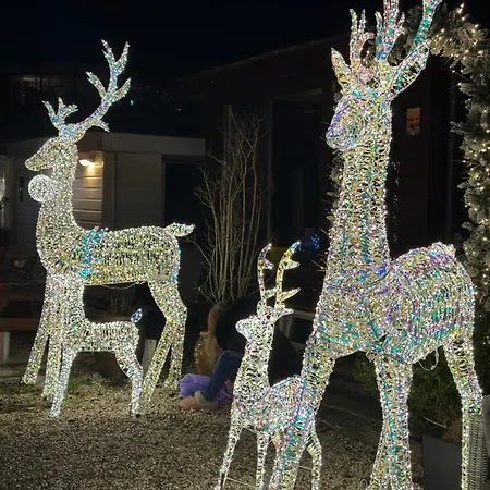 Woonboot De Dobber Loosdrechtse Plassen 4-8 Personen Botel *