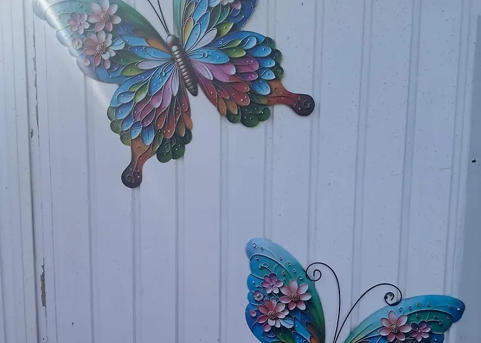 Båthotell Woonboot De Dobber Loosdrechtse Plassen 4-8 Personen