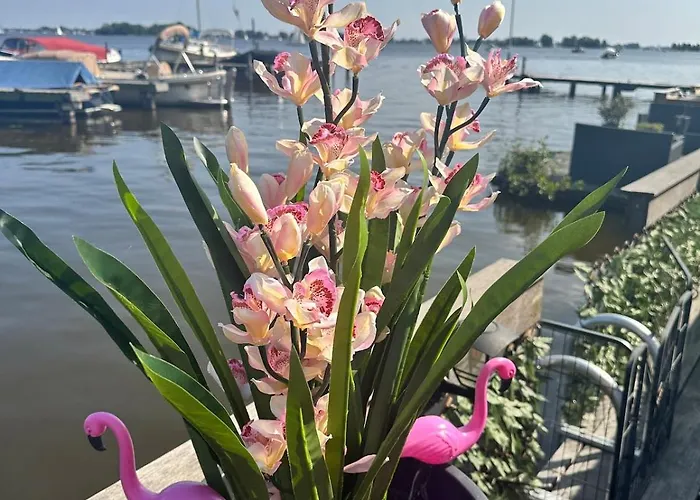 Woonboot De Dobber Loosdrechtse Plassen 4-8 Personen Loosdrecht