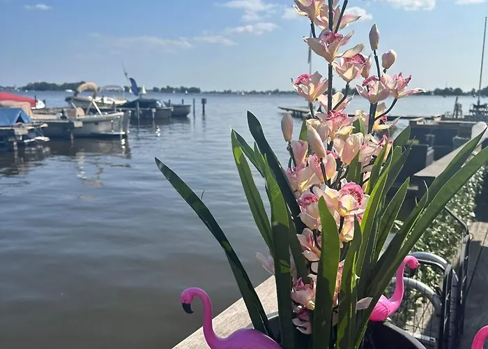 Båthotell Woonboot De Dobber Loosdrechtse Plassen 4-8 Personen