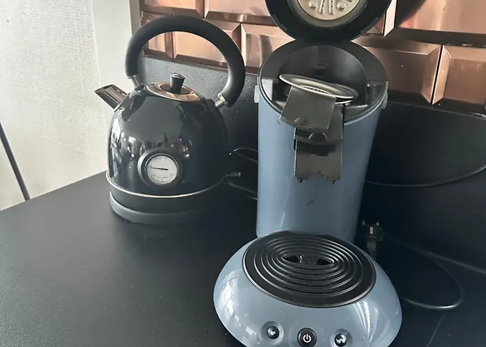 Woonboot De Dobber Loosdrechtse Plassen 4-8 Personen *